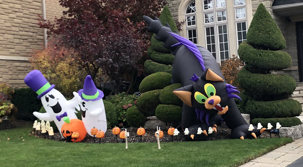 Halloween Display by gardencat