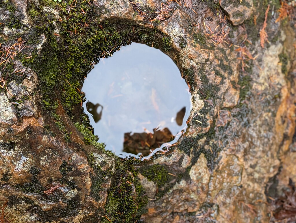 Water hole by teiko