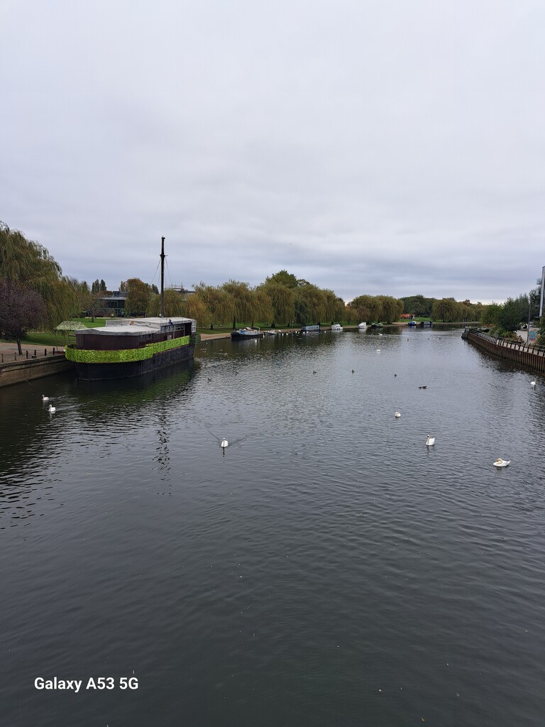 River Nene by ludbrook482