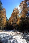 1st Nov 2024 - Flagstaff fall