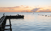 1st Nov 2024 - Aransas Bay Sunrise