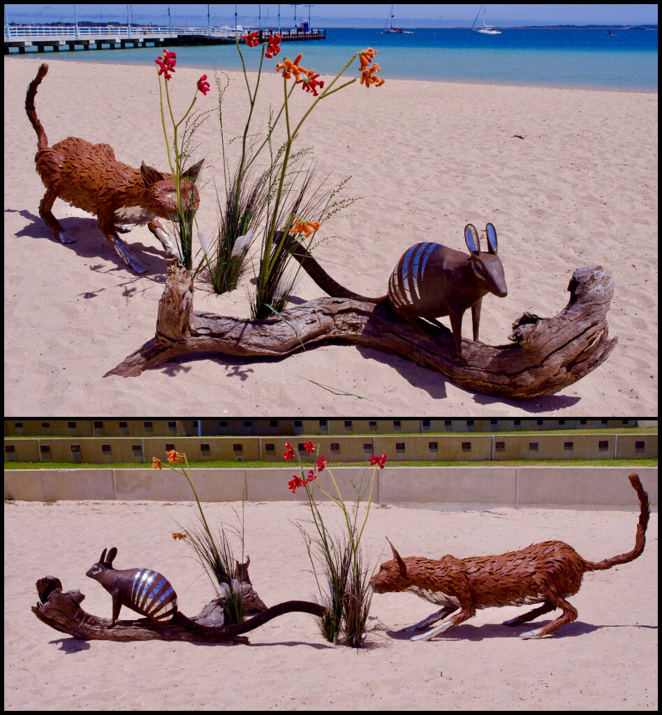 Stay Away Cat - Castaways Sculpture Awards by merrelyn