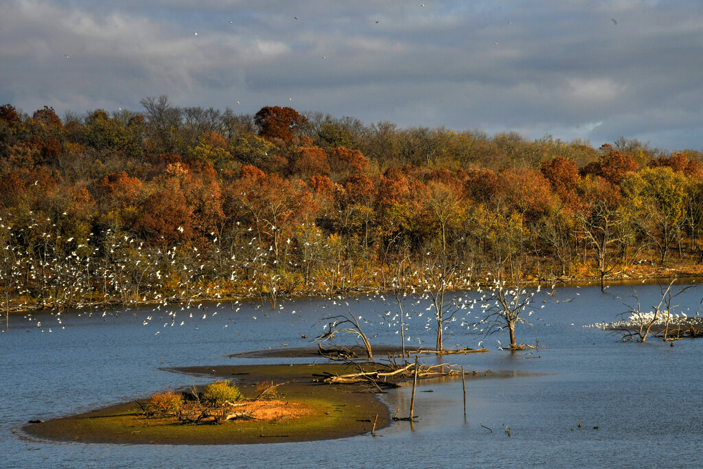 Fall Flurry by kareenking