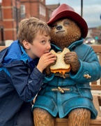 1st Nov 2024 - Chester’s most photographed resident … and Paddington 😉