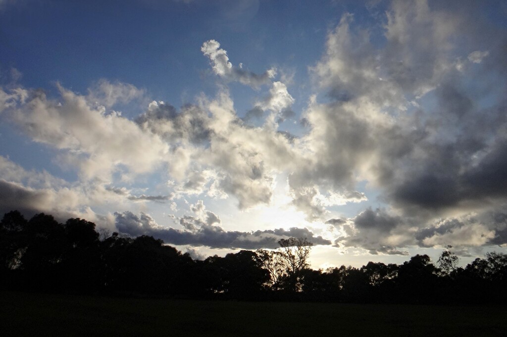 Another big sky.... by robz