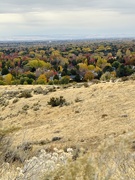 1st Nov 2024 - Looking out at the city colors