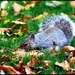 In amongst the leaves