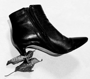 2nd Nov 2024 - Still life with boot and leaves 