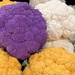 Colorful Cauliflower 