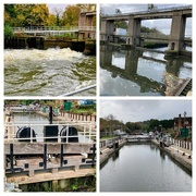 2nd Nov 2024 - Allington Lock