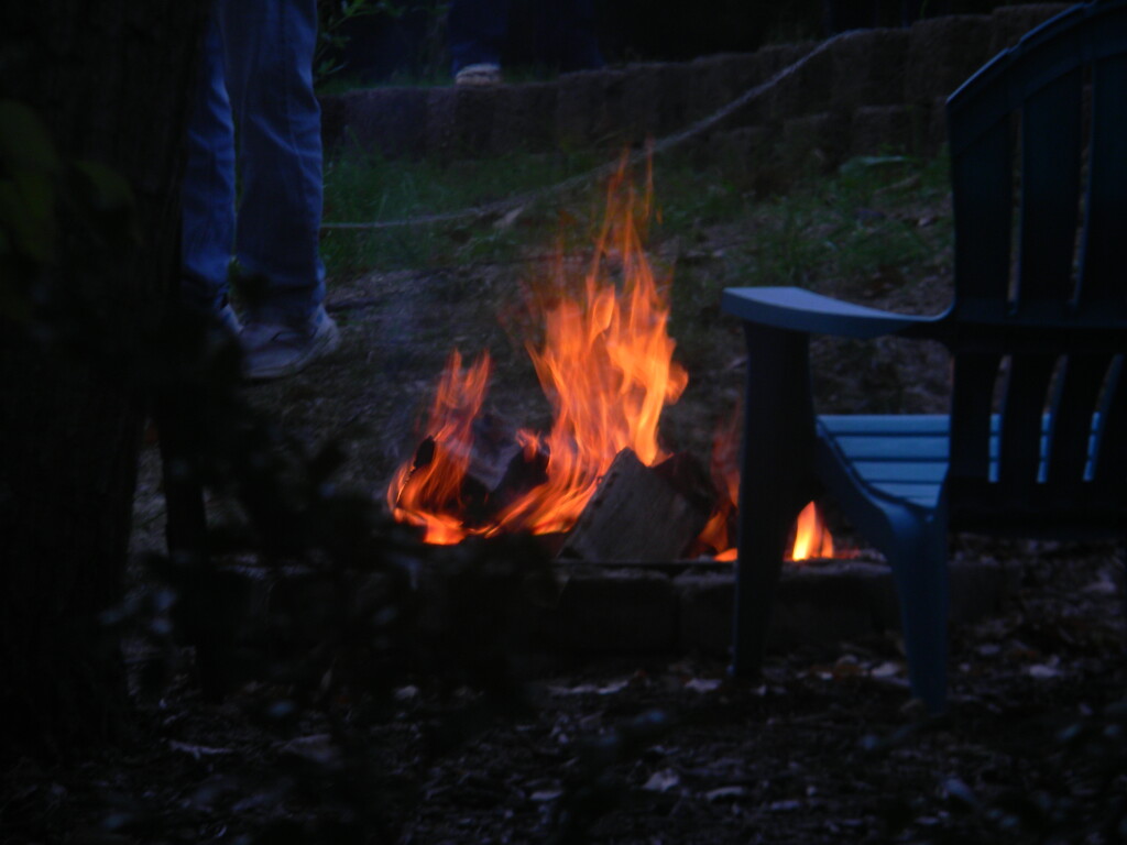 Bonfire Down Trail  by sfeldphotos