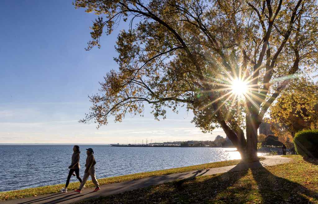 Waters Edge Walk by pdulis