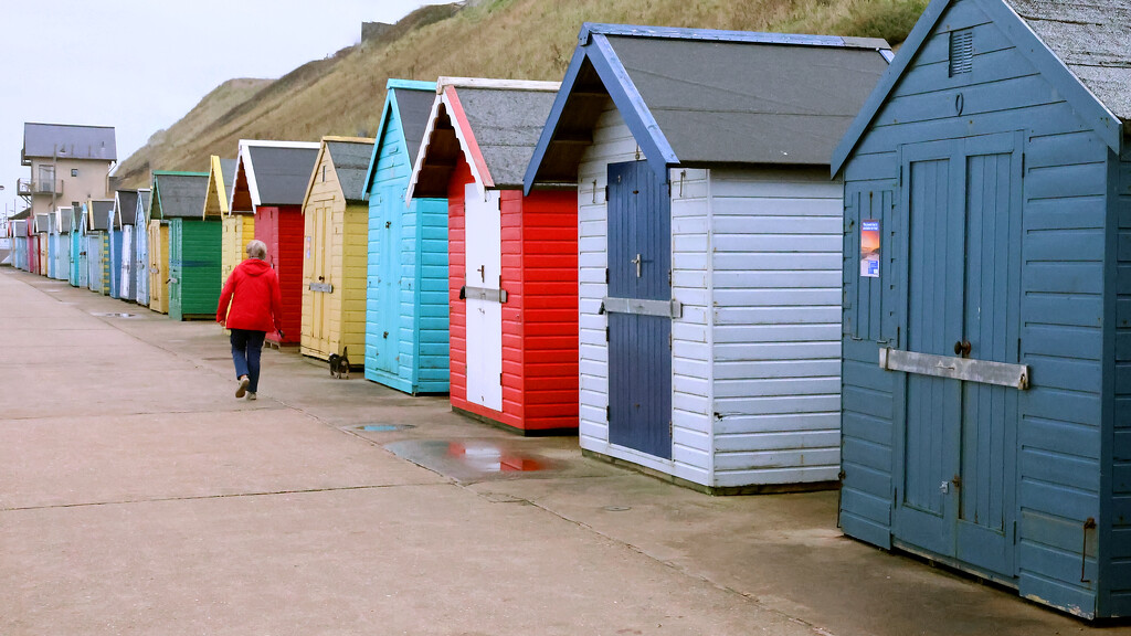 Beach Huts by neil_ge