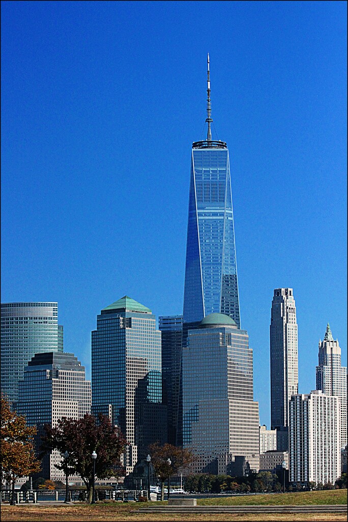 The Freedom Tower from Liberty State Park by olivetreeann