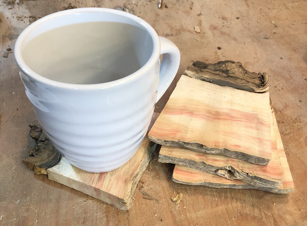 Natural Edge Maple Coasters by dailypix