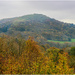 Trees on the Malvern Hills