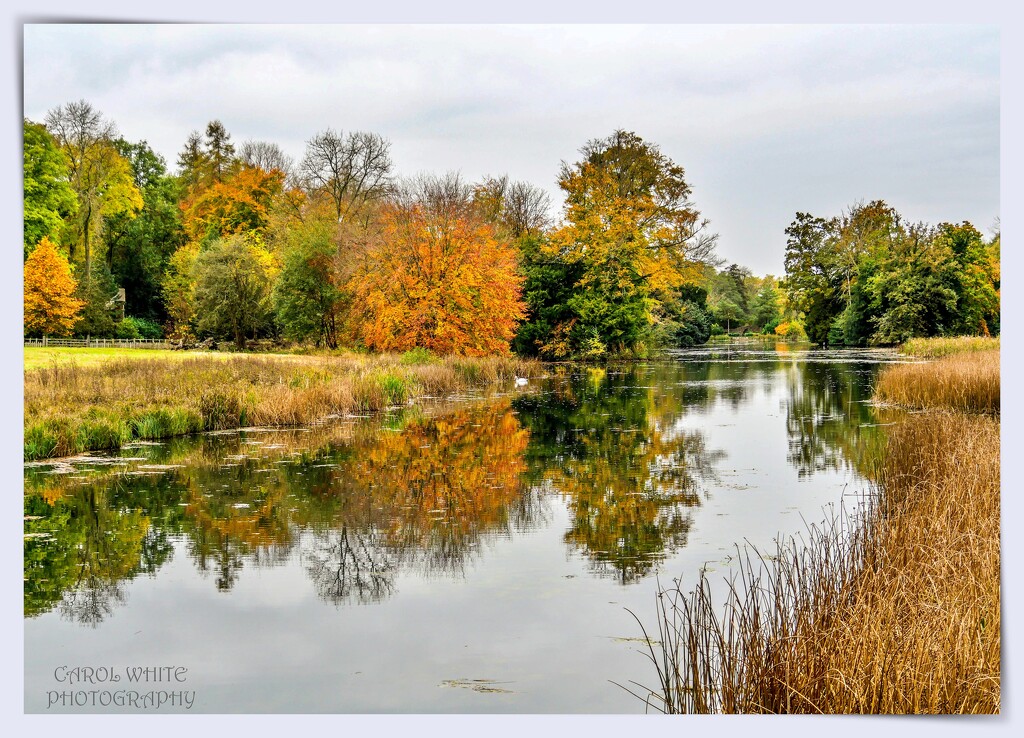 Autumn Reflections by carolmw