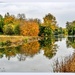 Autumn Reflections