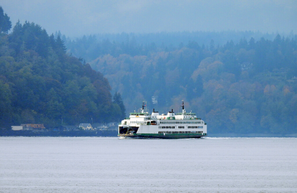 Southworth to Fauntleroy Ferry Crossing by seattlite