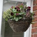 I cannot take any credit for this hanging basket