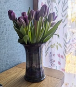 3rd Nov 2024 - Tulips from a neighbour 