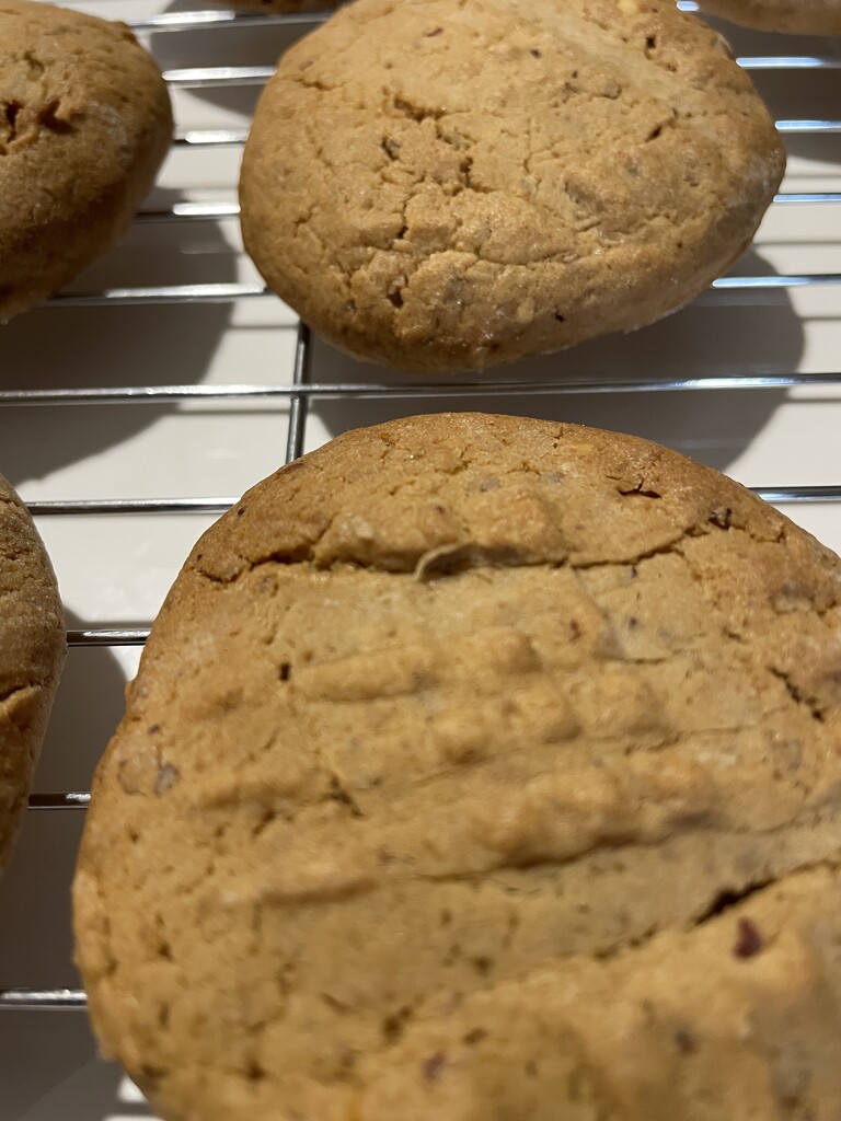 Sourdough peanut butter cookies by sshoe