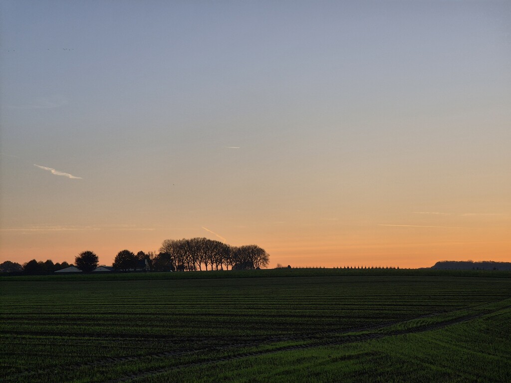 Evening run by lettevy