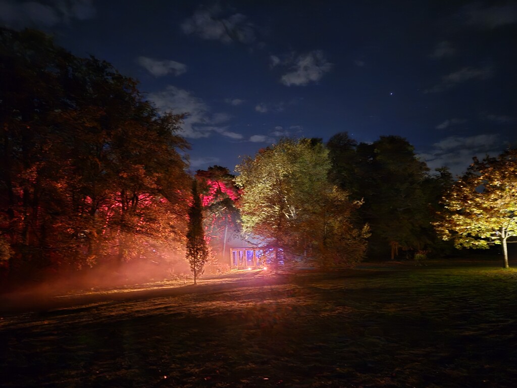 Light art at the park by lettevy