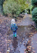 1st Nov 2023 - Big Puddle