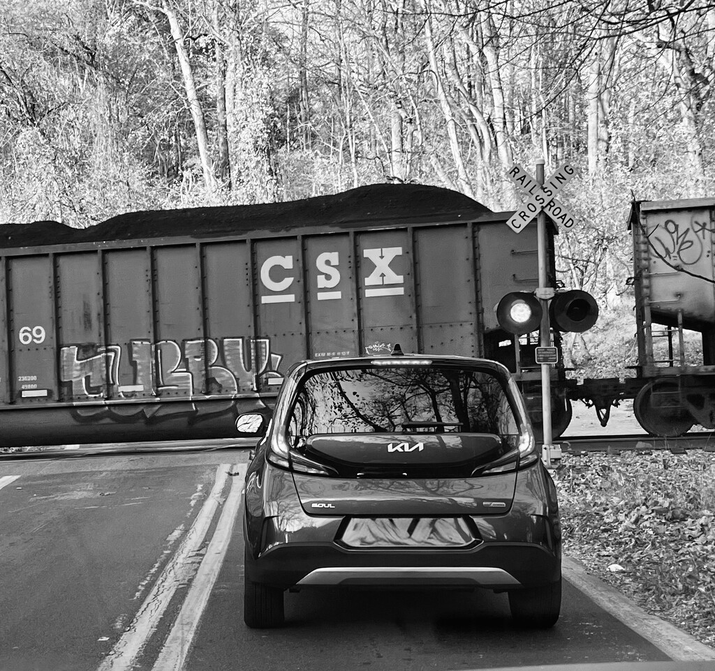 Waiting for the train to pass by cwgould