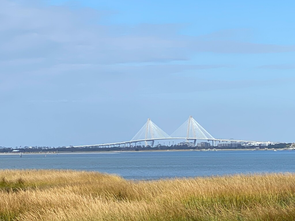 The Ravenel Bridge, Charleston, South Carolina by tunia