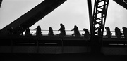 1st Nov 2024 - Crossing the Sydney Harbour Bridge