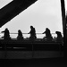 Crossing the Sydney Harbour Bridge