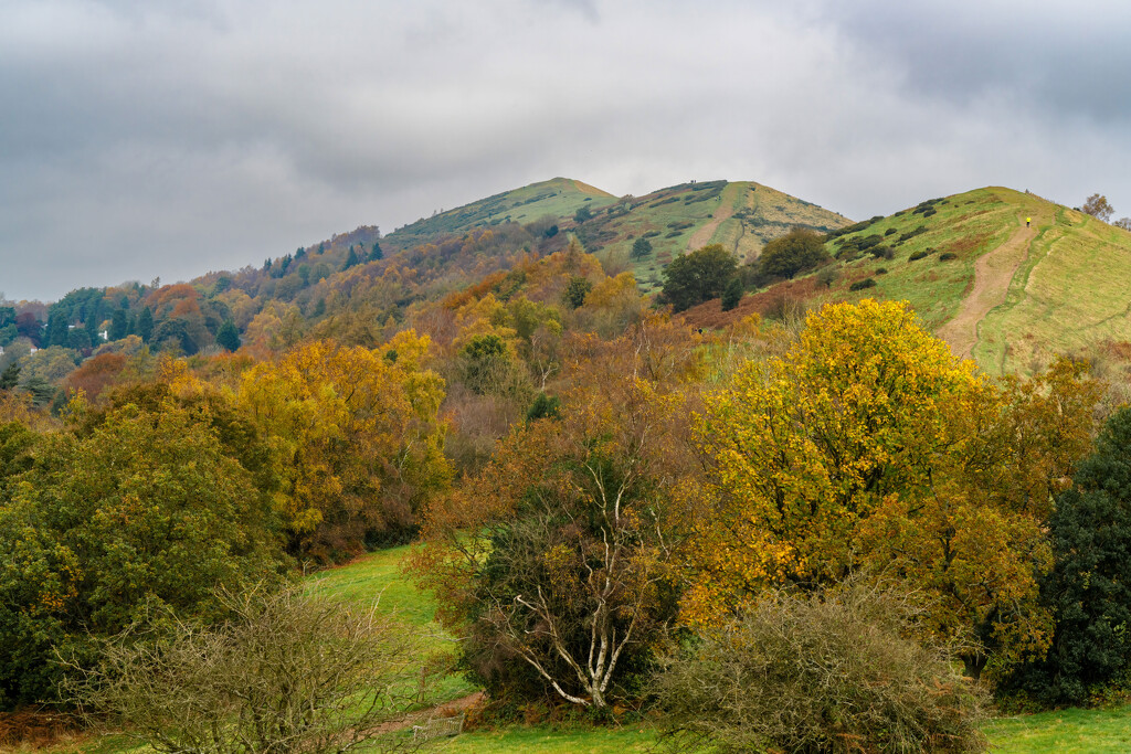 Malvern Hills by clifford