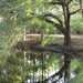 Reflection Pool