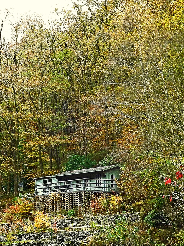 Cabin in the woods by ajisaac