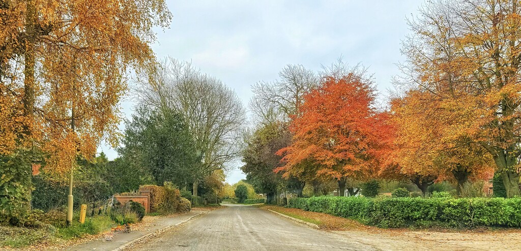 Village Entrance  by carole_sandford