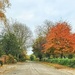 Village Entrance 