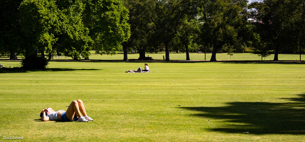 Spring afternoon in the Park by ankers70