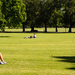 Spring afternoon in the Park