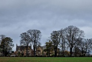 3rd Nov 2024 - trees and houses