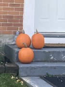 4th Nov 2024 - Three Pumpkins