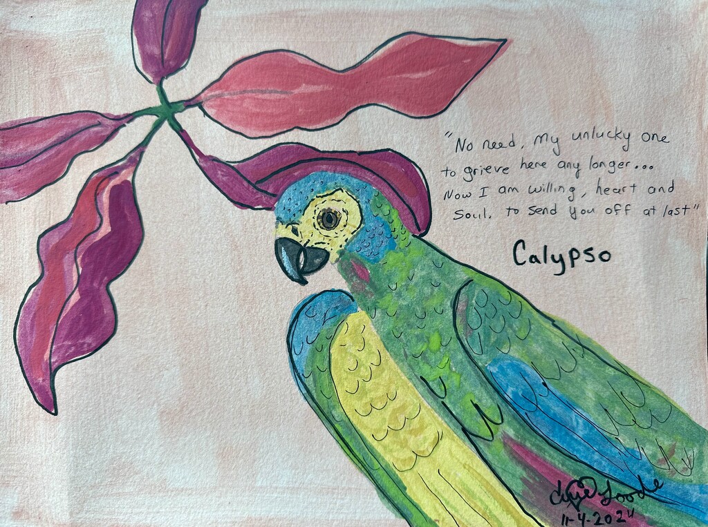 My Red Bellied Macaw by pandorasecho