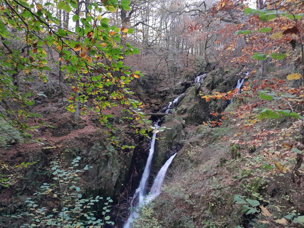 Stock Ghyll Force by anniesue