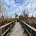 Rattray Board Walk