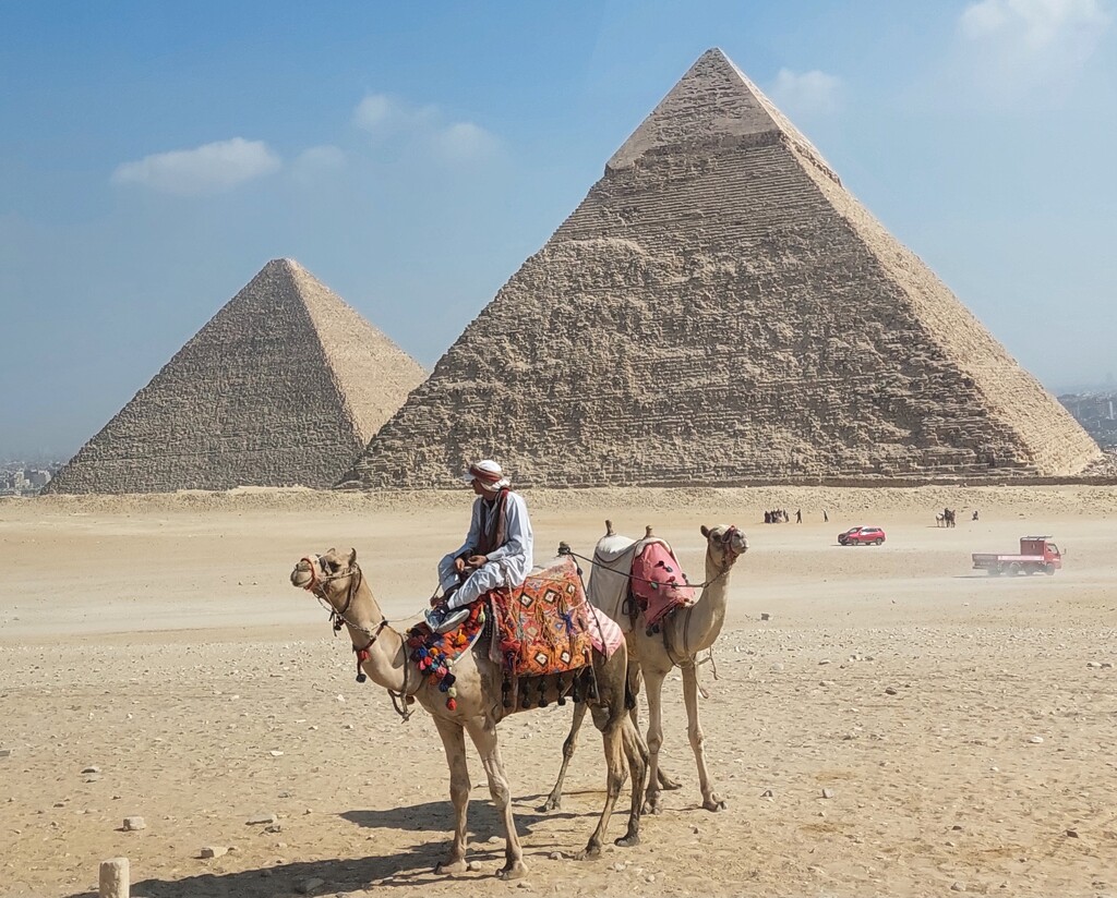 Pyramids and camels by busylady