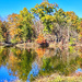 Our Nature Center Walk