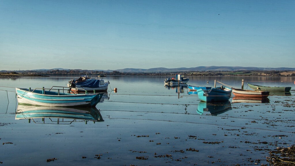 Still water…… the Montrose Basin  by billdavidson