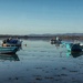 Still water…… the Montrose Basin 