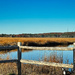 Scarborough Marsh